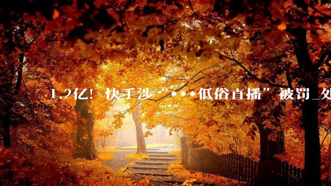 1.2亿！快手涉“***低俗直播”被罚_处置_处罚_北京