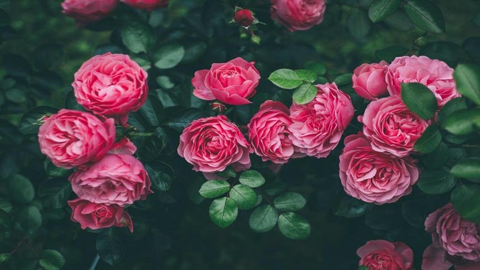 我国成功发射可重复使用试验航天器_新华社_技术_运载火箭